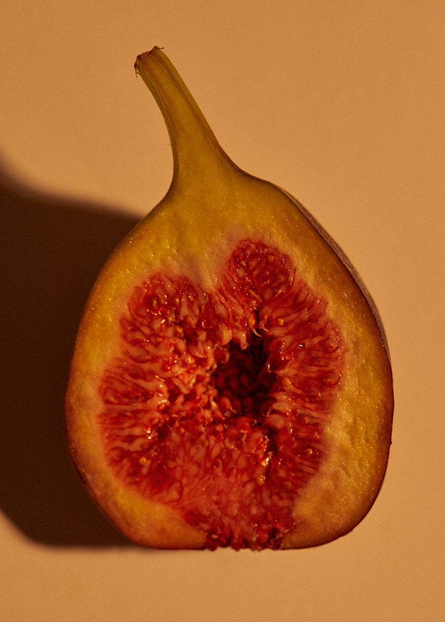AYU candle : Verdant Fig